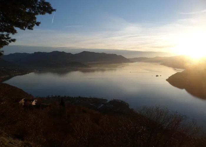 Сasa de vacaciones Artists